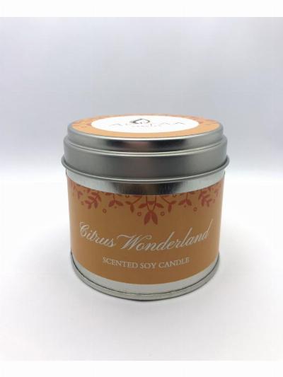 Citrus wonderland Soy Wax Tin Candle