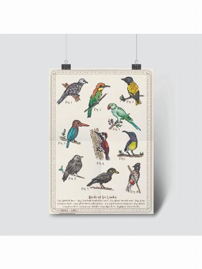 OSAS - Birds of Sri Lanka poster (A3)