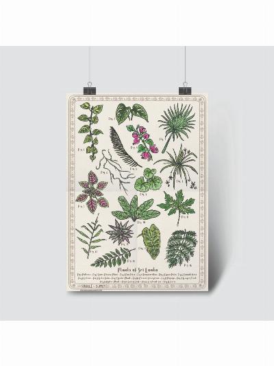 OSAS - Plants of Sri Lanka poster (A3)