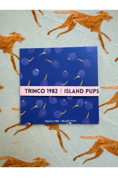 Nil Veralu - 4 by 4 Notecard (Set of 5)