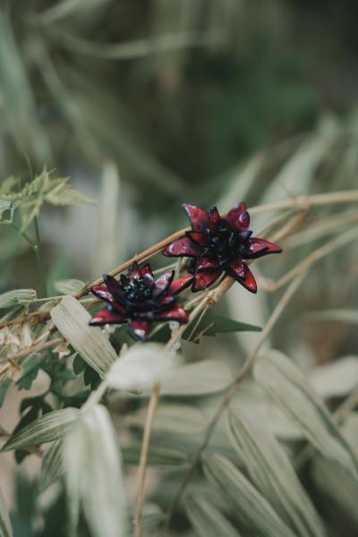Beaded Ring - Pretty Poison 