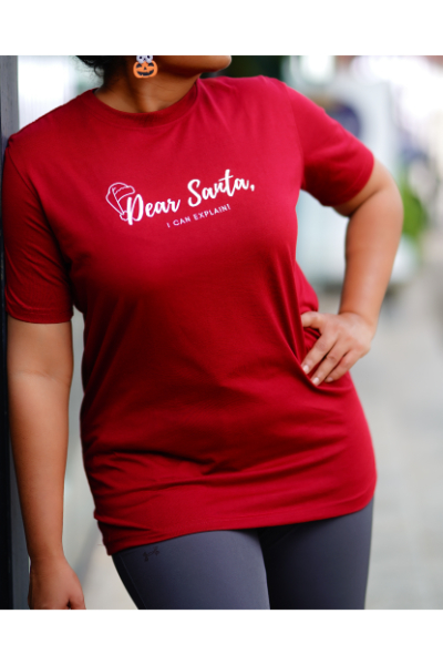 Christmas Tees - Dear Santa, I can explain!