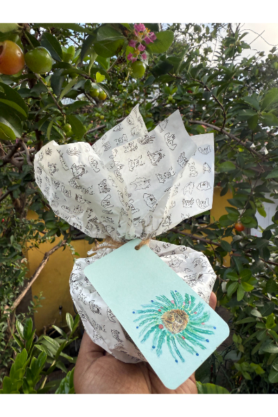 Soy Coconut Shell Candle - Nilaveli Dreaming