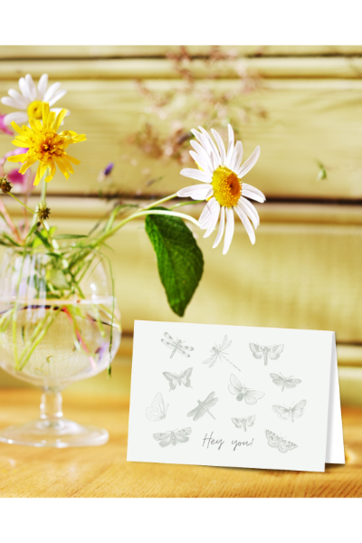 Greeting Card - Hey You Butterflies